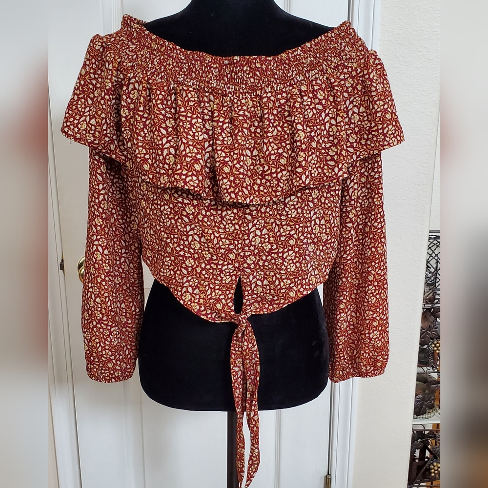 ✨️Timing smocked crop top, long sleeves,  sz L